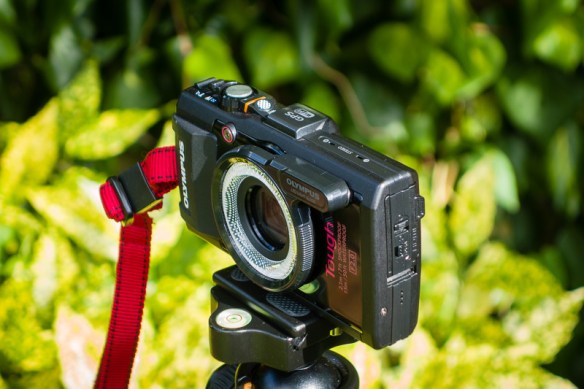 Olympus TG-4